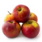Natoora Seasonally Selected British Apples 5 per pack