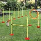PawHut Outdoor 3 PC Pet Agility Training Garden Starter & Obstacle Set for Dog - Yellow