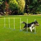 PawHut Dog Weave Pole Set w/ Agility Starter Kit For Outdoor Exercise - White