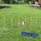 PawHut Dog Agility Weave Poles w/ Training Obstacle Course Set & Whistle - Orange & White