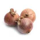 Natoora Pink Onions from Brittany 450g