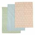 Frosted Deco Set of 3 Tea Towels, 100% Cotton