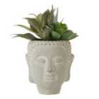 Mixed Succulent Buddha Pot - White Wash Cement