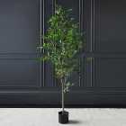 Artificial Mini Ficus Tree in Black Plant Pot