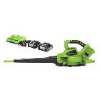Greenworks 48V (2 X 24V) Blow & Vac with 2 x 4Ah Batteries & Charger