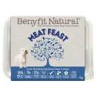 Benyfit Natural Meat Feast Turkey Complete Adult Raw Working Dog Food 1kg