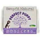 Benyfit Natural Puppy Turkey Complete Raw Working Dog Food with Verm-X 1kg