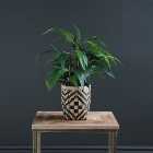 Artificial Bamboo in Woven Monochrome Plant Pot