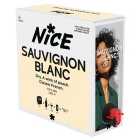 Nice French Sauvignon Blanc Bag in Box 2.25L