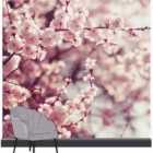 Art For The Home Romantic Blossom Wall Mural
