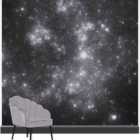 Art For The Home Constel Celestial Wall Mural