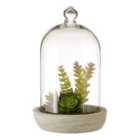 Premier Housewares Large Faux Succulent in Dome with Cement Base