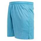 Precision Madrid Shorts Adult (sky, S 30-32")