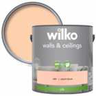 Wilko Walls & Ceilings Peach Blush Silk Emulsion Paint 2.5L