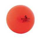 Readers Windball Training Cricket Ball (orange, Youths)