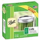 2 x 12 Pack Replacement Jar Lids - Wide Mouth (24 Lids Only!!)