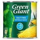 Green Giant no added salt sweetcorn, drained 285g