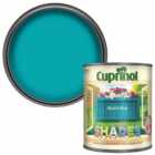 Cuprinol Garden Shades Beach Blue Wood Paint 1L
