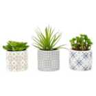 Interiors By Ph Set Of 3 Faux Succulents Henna Ceramic Pots