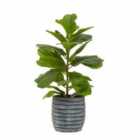 Interiors By Ph Faux Ficus Tree In Cement Pot Black/White Stripe