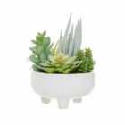 Interiors By Ph Faux Mixed Succulents In Large White Ceramic Pot
