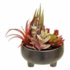 Interiors By Ph Faux Mixed Succulent In Large Ceramic Pot Grey