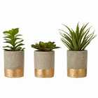 Interiors By Ph Set Of 3 Faux Succulents Ceramic Pot Grey/ Gold