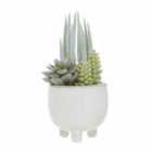 Interiors By Ph Faux Mixed Succulents In White Ceramic Pot