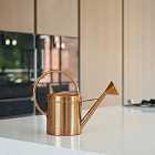 Ivyline Indoor Kensington Traditional Copper Watering Can - H25Cm W40Cm
