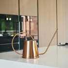 Ivyline Indoor Kensington Copper Watering Can - H24Cm W44Cm