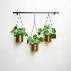 Ivyline Linear Hanging Planters In Black And Gold - 81Cm