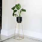 Ivyline Minimo Plant Stand In Gold - H60Cm D26Cm