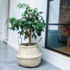 Ivyline Seagrass Chevron White Lined Basket Medium - H30Cm X D35Cm