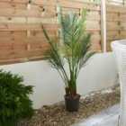 Smart Garden Phoenix Palm Faux Plant