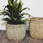 Ivyline Seagrass Lined Basket Natural - Set Of 2