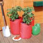 St Helens Tomato Grow Bags, Pack Of 3