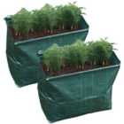 St Helens Carrot Planter, Pack Of 2