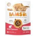 Iams For Vitality Cat Adult 1+ Years With Salmon 800g