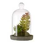 Premier Housewares Small Faux Succulent in Dome with Cement Base