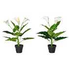 HOMCOM Artificial Set Of 2 Calla Lily Flower Faux Plant For Indoor