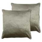 Paoletti Stella Twin Pack Polyester Filled Cushions Champagne