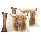 Evans Lichfield Hunter Highland Cow Twin Pack Polyester Filled Cushions Multi 60 x 40cm
