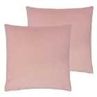Evans Lichfield Sunningdale Twin Pack Polyester Filled Cushions Powder 50 x 50cm