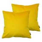 Paoletti Munich Twin Pack Polyester Filled Cushions Ceylon