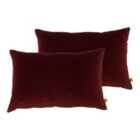 Furn. Contra Twin Pack Polyester Filled Cushions Oxblood