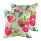 Evans Lichfield Fruit Apples Twin Pack Polyester Filled Cushions Multi