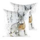 Evans Lichfield Christmas Hare Twin Pack Polyester Filled Cushions Multi