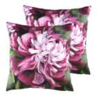 Evans Lichfield Winter Florals Peony Twin Pack Polyester Filled Cushions Fuchsia