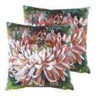 Evans Lichfield Winter Florals Chrysanthemum Twin Pack Polyester Filled Cushions Terracotta