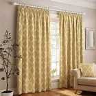 Paoletti Olivia Embroidered Pencil Pleat Curtains (Pair) Polyester Citron (229X183Cm)